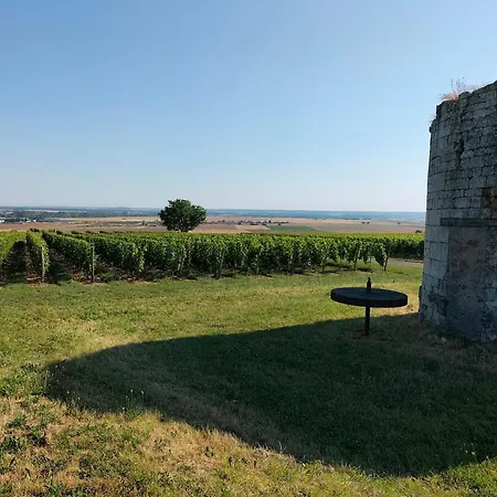 Domaine De Bellevue * Pouancay