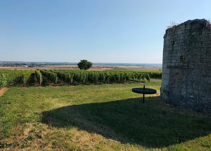 Domaine De Bellevue * Pouancay